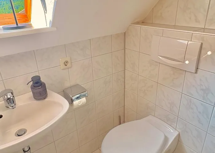 Panorama Im Schwarzwald Appartement