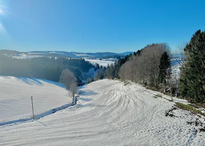 Appartement Panorama Im Schwarzwald