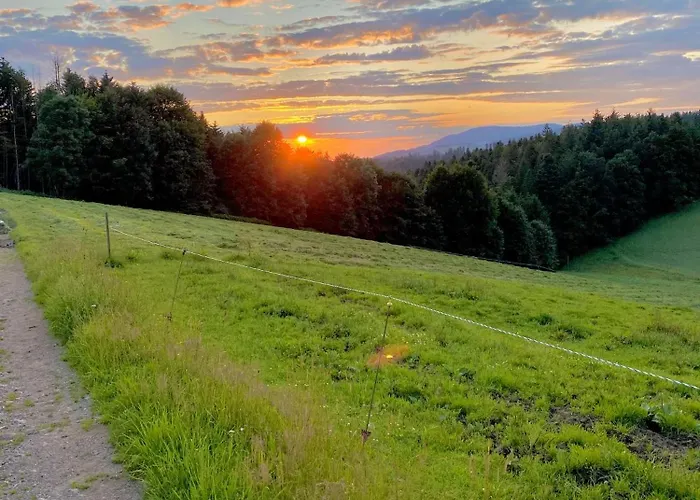 Panorama Im Schwarzwald